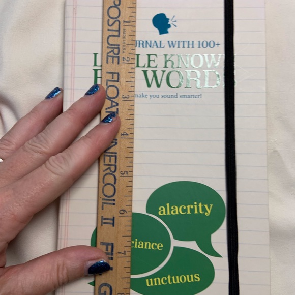 🦩NWT Paper + journal with 100+ little known big words with prompts - Picture 4 of 8